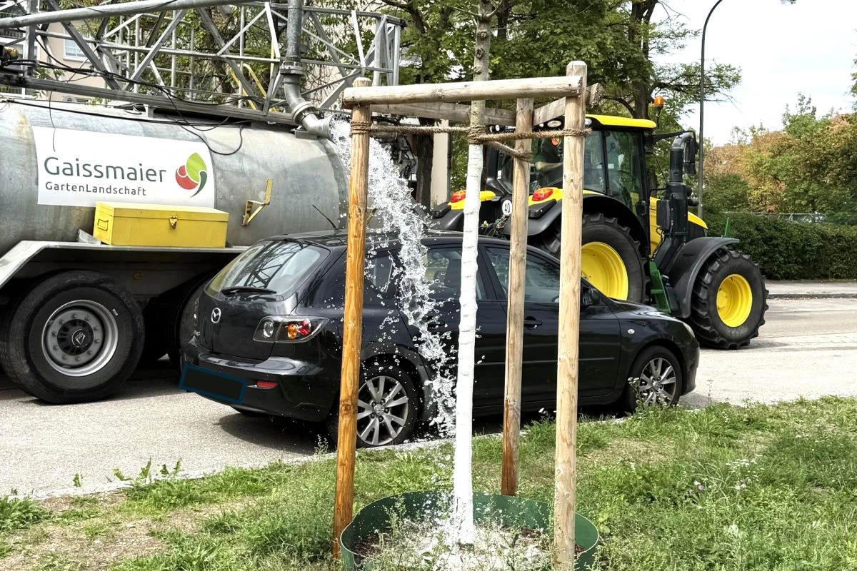 Traktor mit Wasserfass, aus dem ein Baum bewässtert wird. (Foto: Stadt Unterschleißheim)
