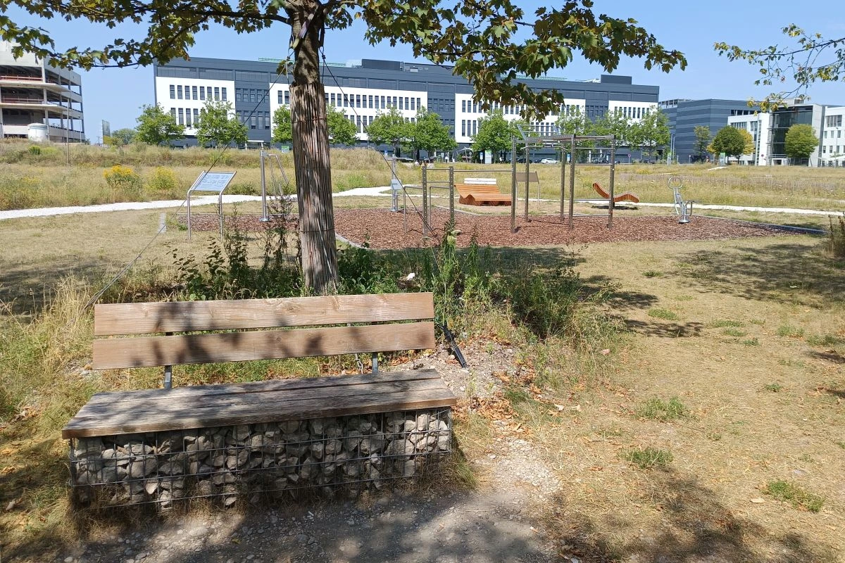 Bank unter Baum mit Calisthenics-Anlage im Hintergrund (Foto: Peter Marwan)