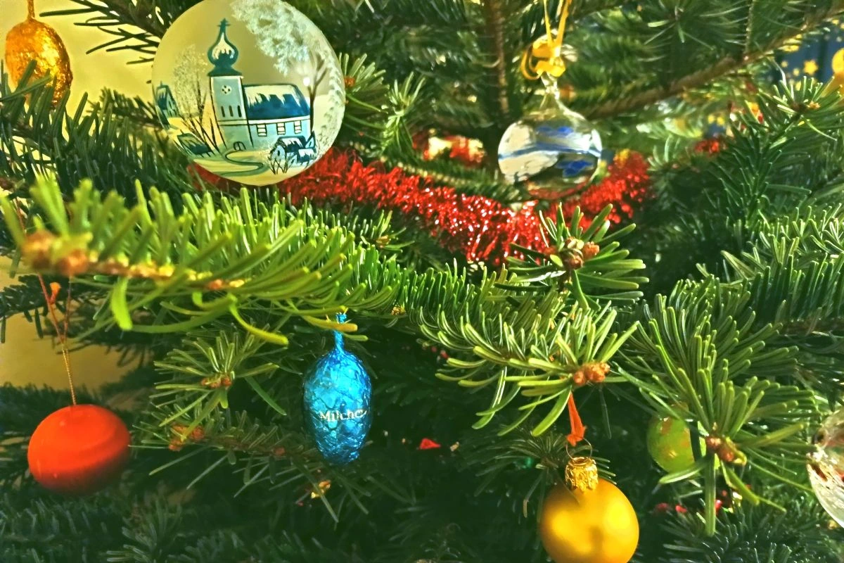 Christbaum 2026 (Bild: Peter Marwan)