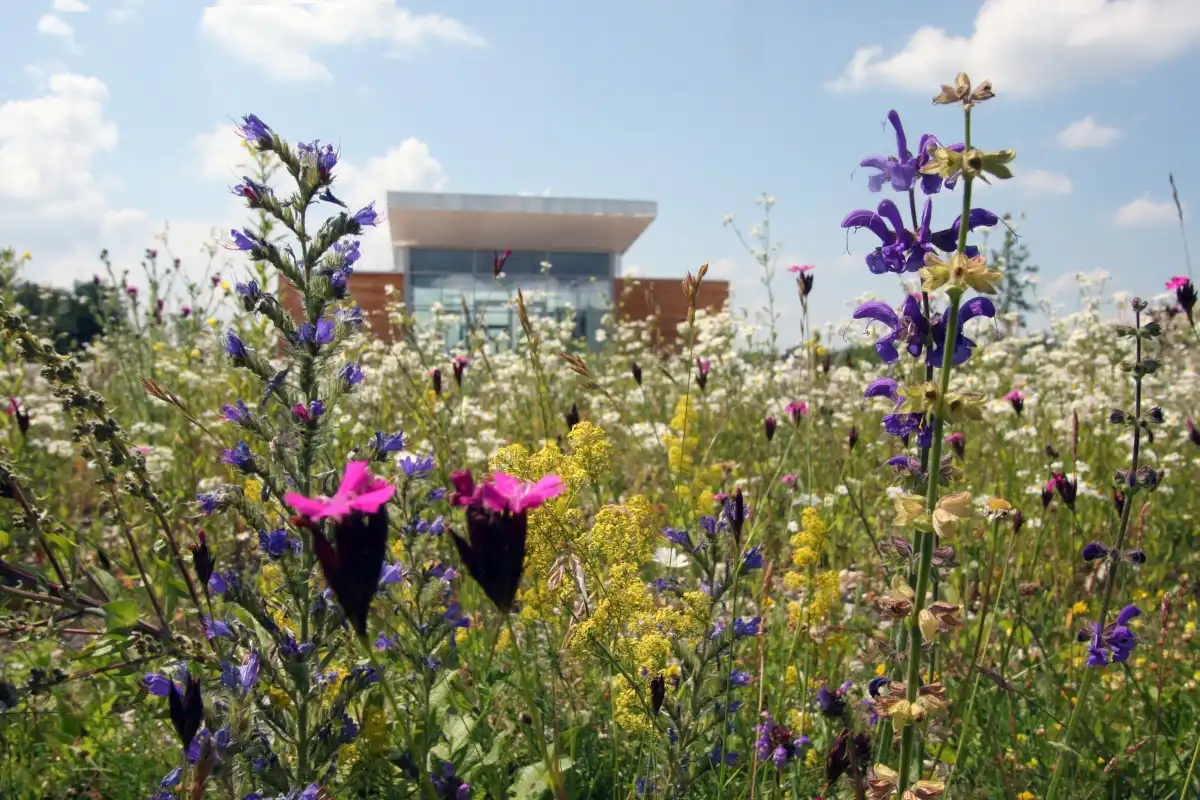 Umweltstation HeideHaus im Naturschutzgebiet „Südliche Fröttmaninger Heide“ (Foto: Stefan Gerstorfer)