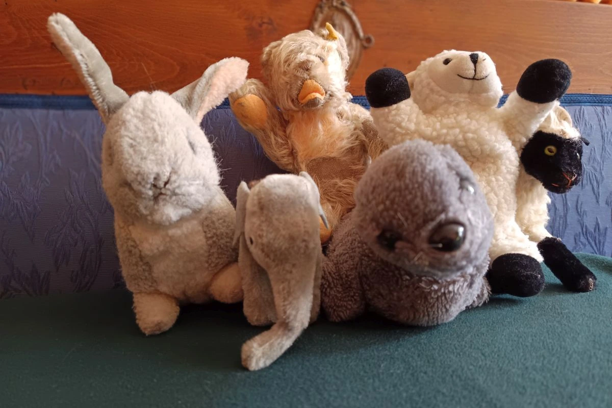 Kuscheltiere (Foto: Peter Marwan)