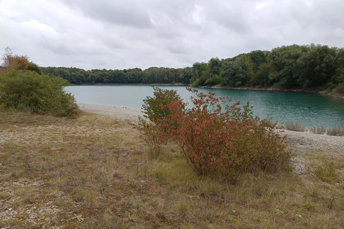 Mallertshofer See mit Wiese im Vordergrund (Foto: Peter Marwan)
