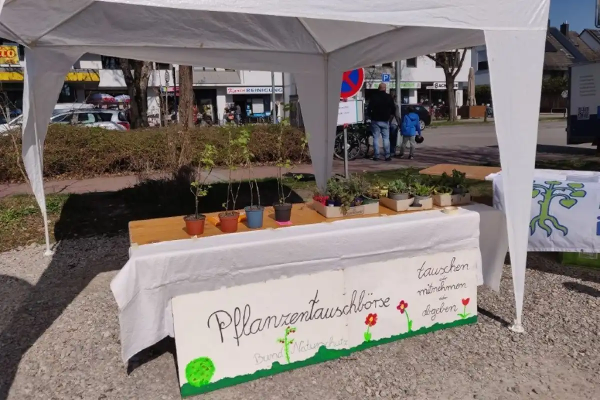 Pflanzentauschbörse-4
