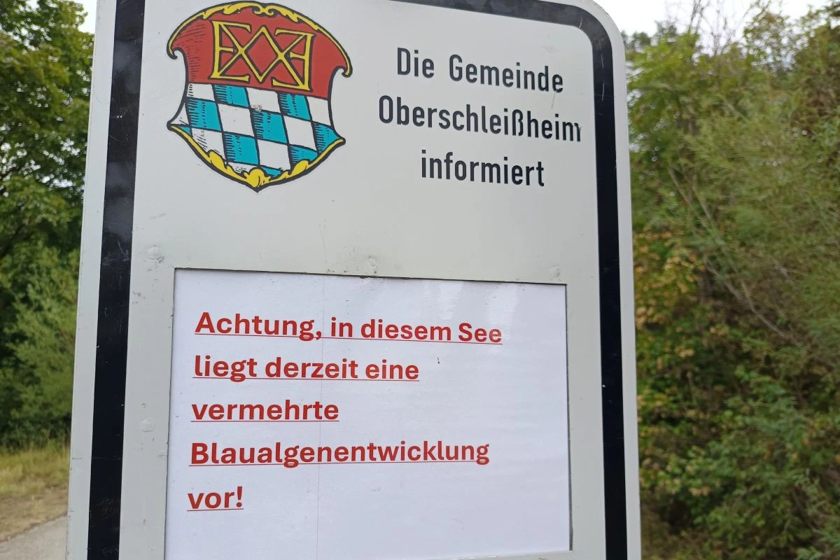 Schild der Stadt Oberschleißheim mit Warnung vor Blaualgen (Foto: Peter Marwan)