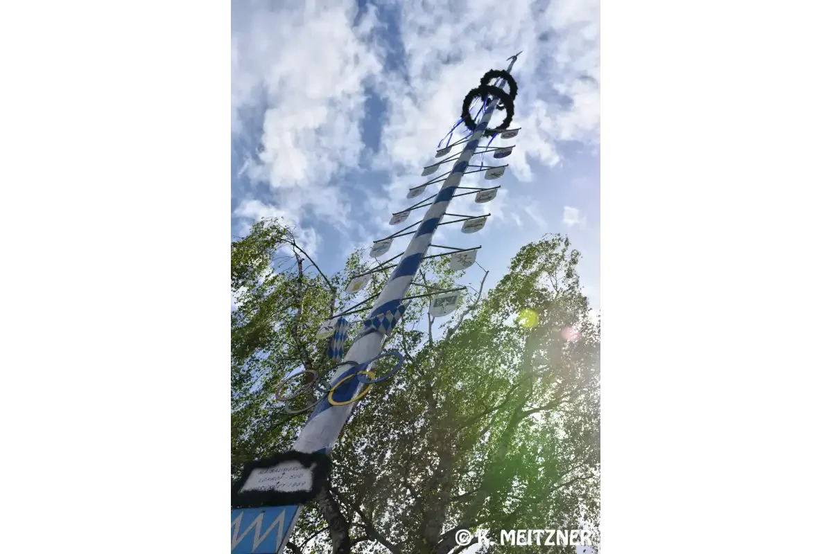 Maibaumgruppe-2024-2